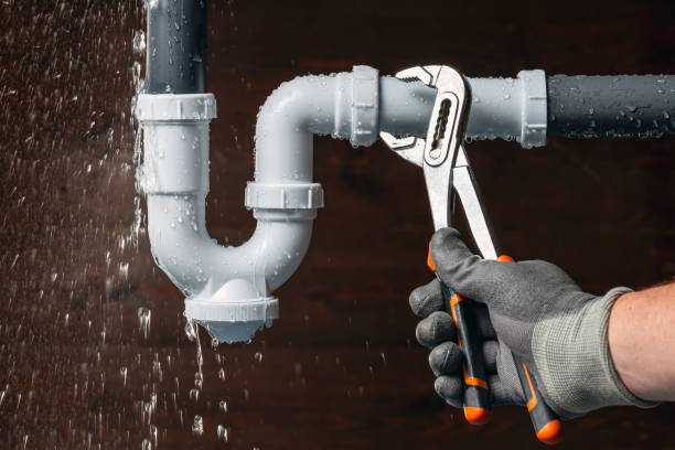 Professional Plumbing technician working in Santo, TX